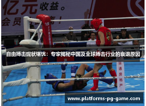自由搏击现状堪忧：专家揭秘中国及全球搏击行业的衰退原因